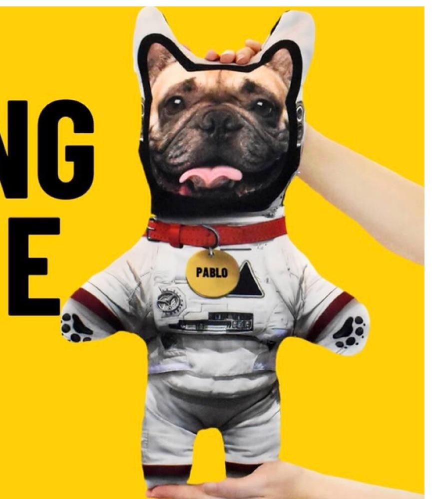 A plush Pet Mini Me shaped like a French bulldog in a white astronaut suit with a gold name tag reading Pablo, held by hands against a yellow background