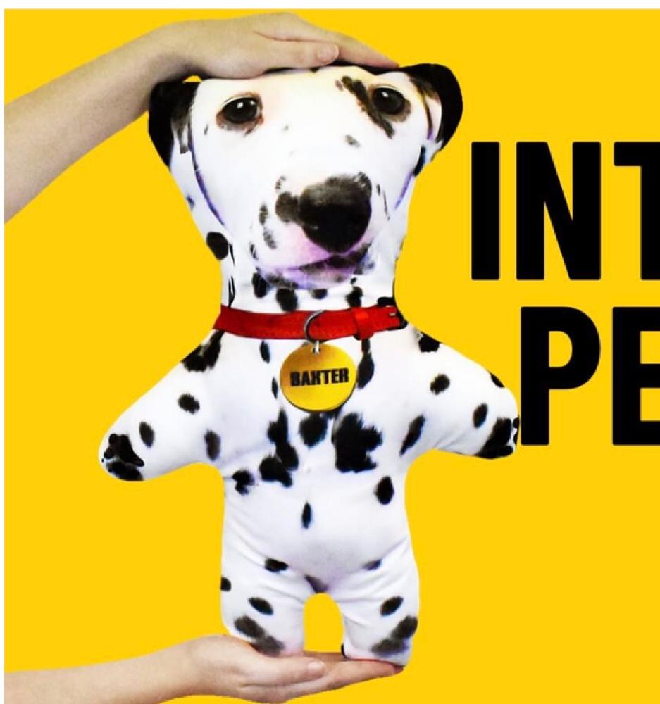 A plush Pet Mini Me shaped like a Dalmatian wearing a red collar with a gold name tag reading Baxter, held by hands against a yellow background